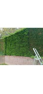 Tuinman met jaren ervaring, Enlèvement ou Envoi, Comme neuf