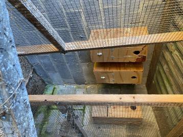 Vogelkooi beschikbaar voor biedingen