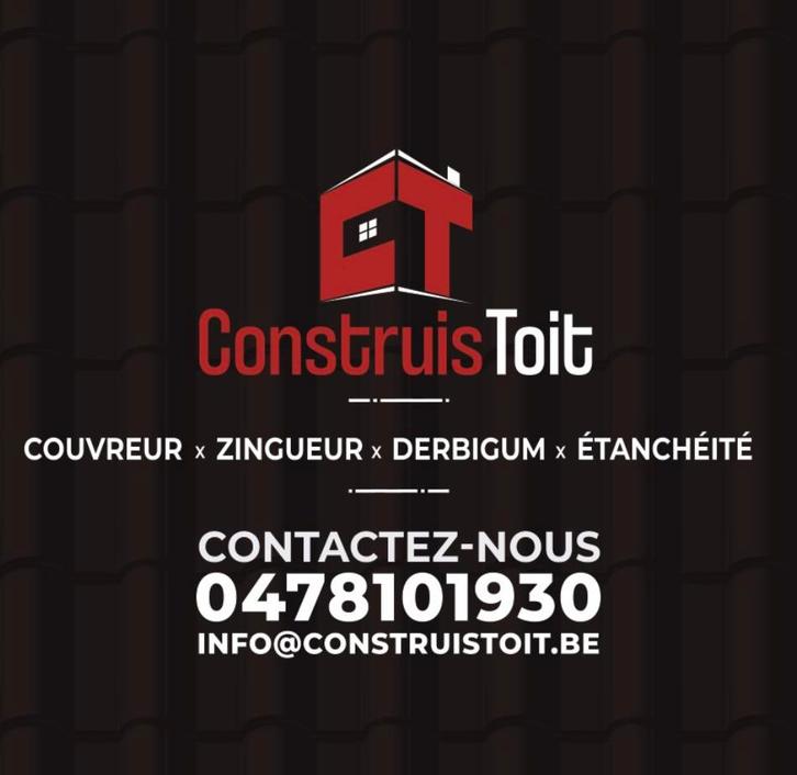 Couvreur zingueur, Diensten en Vakmensen, Dakdekkers en Rietdekkers, Pannen