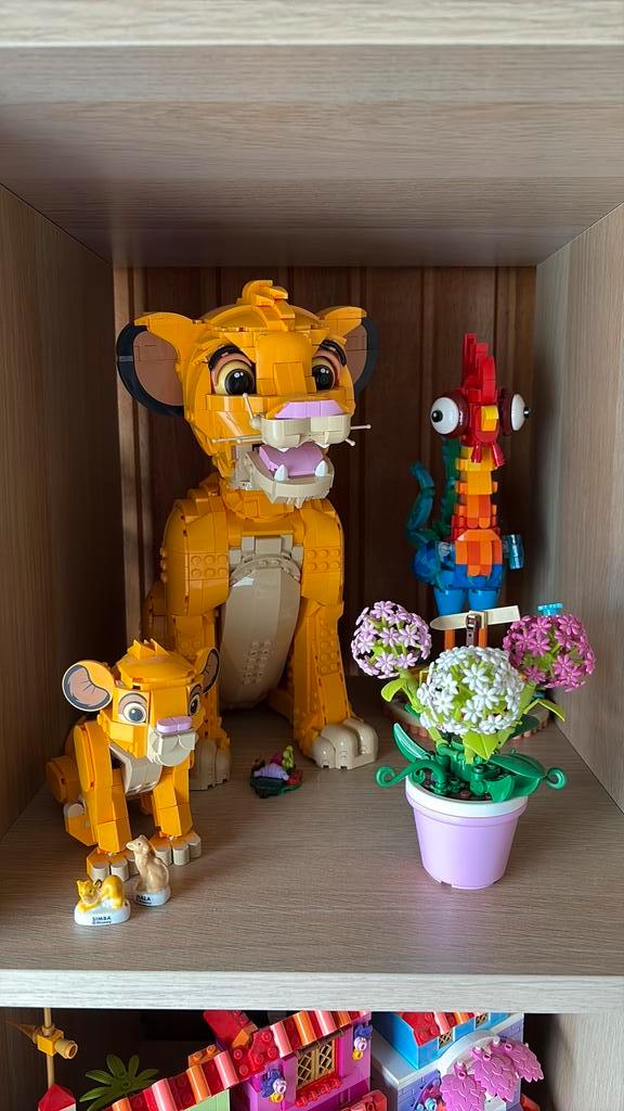 Verschillende Lego Disney, Hobby en Vrije tijd, Feestartikelen | Verhuur, Zo goed als nieuw, Ophalen of Verzenden