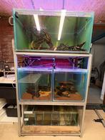 Kweekstelling met bioloog, Ophalen, Zo goed als nieuw