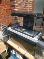 Te koop wegens verhuizing !!, Dieren en Toebehoren, Vissen | Aquaria en Toebehoren, Ophalen, Gebruikt, Leeg aquarium