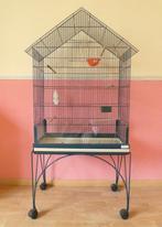 cage oiseau, Animaux & Accessoires, Enlèvement, Utilisé, Cage à oiseaux