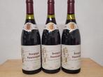 3x Bourgogne Passetoutgrain (10€/fles), Verzamelen, Frankrijk, Ophalen of Verzenden, Zo goed als nieuw, Rode wijn