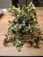 Decoratieve hangplant, Huis en Inrichting, Ophalen of Verzenden, Zo goed als nieuw