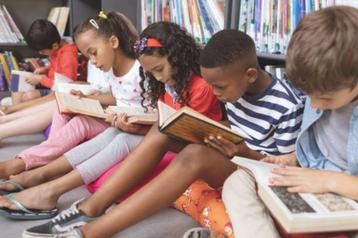 CHERCHE livres pour bibliothèque d'école  beschikbaar voor biedingen
