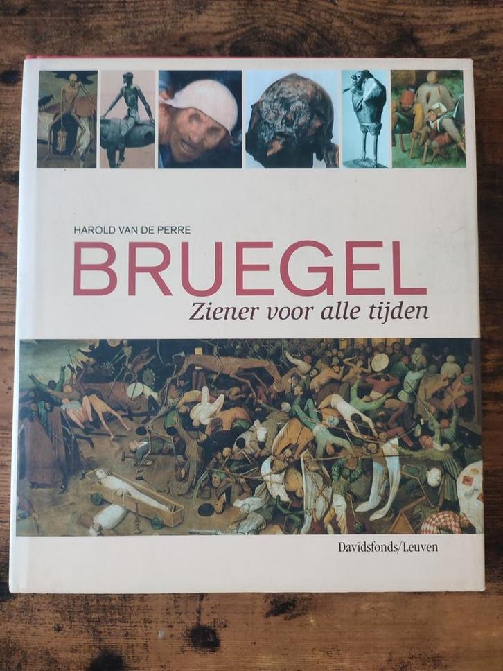 Breugel ziener voor alle tijden, Boeken, Kunst en Cultuur | Beeldend, Zo goed als nieuw, Ophalen of Verzenden