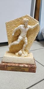 Foot statue, Ophalen
