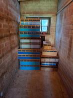 Duiven manden, Dieren en Toebehoren