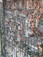 Brandhout, 3 tot 6 m³, Ophalen, Overige houtsoorten, Blokken