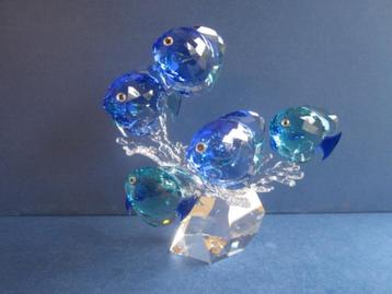 Swarovski Paradise School vissen beschikbaar voor biedingen