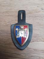 Charm 17 ACH Horse Artillery Regiment, Verzamelen, Militaria | Algemeen, Embleem of Badge, Landmacht, Ophalen