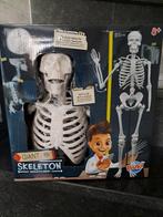 Skelet  anatomie voor kinderen !!!, Ophalen, Zo goed als nieuw