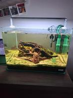 Nano cube 60l, Dieren en Toebehoren, Vissen | Aquaria en Toebehoren, Ophalen, Zo goed als nieuw