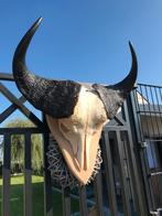 Taxidermie schedel buffel, Antiek en Kunst, Ophalen of Verzenden