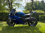 Yamaha R6 2020, 4 cilinders, Super Sport, Particulier, Meer dan 35 kW