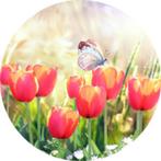 Muurcirkel tulpen met vlinder, Ophalen of Verzenden, Nieuw