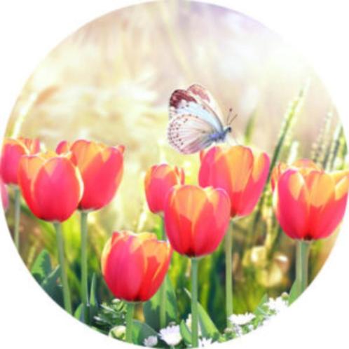 Muurcirkel tulpen met vlinder, Huis en Inrichting, Woonaccessoires | Wanddecoraties, Nieuw, Ophalen of Verzenden