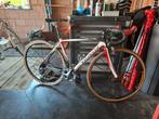 Specialized maat 52 racefiets, Fietsen en Brommers, Fietsen | Racefietsen, 28 inch, Gebruikt, Carbon, Heren