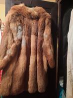 Menteau en Renard roux, Enlèvement