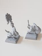 warhammer fantasy: lizardmen skink command, metaal, 2 stuks, Ophalen of Verzenden, Zo goed als nieuw, Warhammer