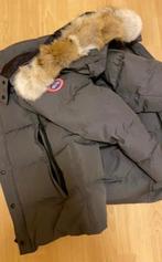 Canada Goose Wyndham parka veste d'hiver, Canada Goose, Enlèvement ou Envoi, Taille 52/54 (L), Gris