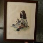 Gravure SETTER et Canards Jean HERBLET, Enlèvement ou Envoi