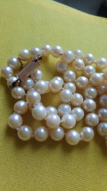 Collier perles /or 18k