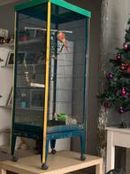 pas vrij op woensdag de kooi