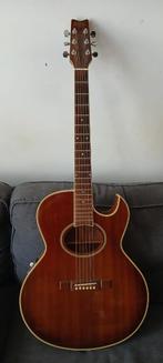 Washburn Festival Series EA20 elektro-akoestische gitaar, Muziek en Instrumenten, Ophalen, Gebruikt, Overige typen, Met koffer