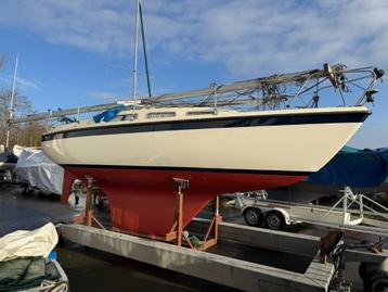 Hurley 800 zeilboot beschikbaar voor biedingen