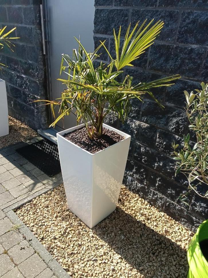 bloempot lechuza cubico 40 en 30, Tuin en Terras, Bloempotten, Gebruikt, Kunststof, Minder dan 40 cm, 25 tot 40 cm, Rechthoekig