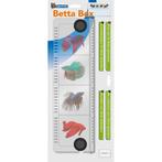 Betta Box - SuperFish Showbak voor Betta Splendens, Dieren en Toebehoren, Vissen | Aquaria en Toebehoren, Zo goed als nieuw