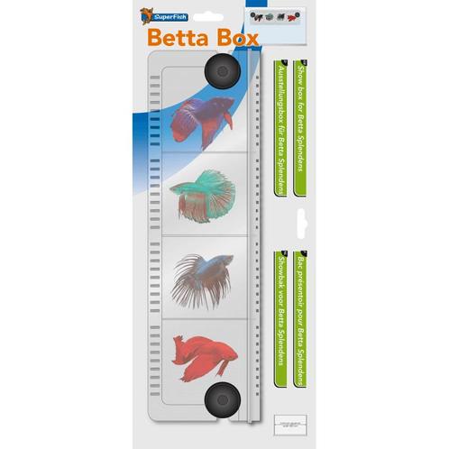 Betta Box - SuperFish Showbak voor Betta Splendens, Dieren en Toebehoren, Vissen | Aquaria en Toebehoren, Zo goed als nieuw