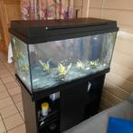 Aquarium met onderkast, Enlèvement