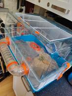 Hamster avec cage, Animaux & Accessoires, Enlèvement, Comme neuf, Hamster