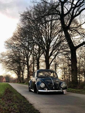 VW kever ovaal 56' beschikbaar voor biedingen