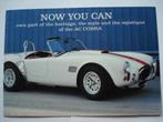 AC Cobra merchandise 1996 Brochure Catalogue Prospekt, Gelezen, Overige merken, Verzenden