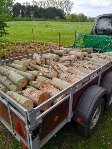 Hout te koop beschikbaar voor biedingen