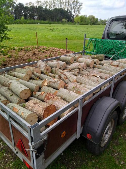 Hout te koop, Tuin en Terras, Brandhout, Ophalen of Verzenden