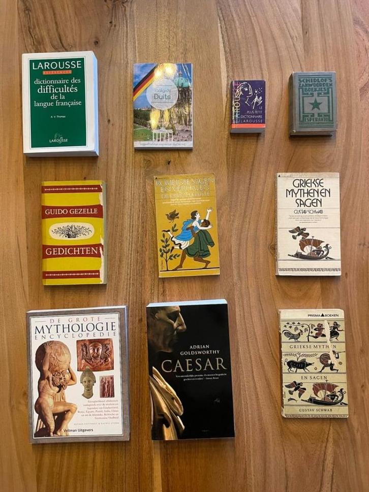 Woordenboeken, Boeken, Woordenboeken, Zo goed als nieuw, Frans, Ophalen of Verzenden