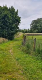 Maison de campagne - Villa, Immo, Maisons à vendre