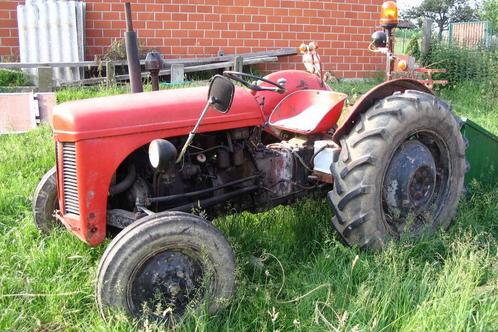 Ferguson TEF 1956 (Deels gedemonteerd), Articles professionnels, Agriculture | Tracteurs, Massey Ferguson, jusqu'à 80 ch, Oldtimer/Ancêtre