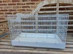 Kweekkooi, Dieren en Toebehoren, Vogels | Hokken en Kooien, Ophalen