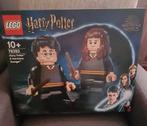 LEGO 76393  Harry Potter & Hermelien Griffel, Nieuw, Complete set, Ophalen of Verzenden, Lego