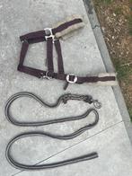 Ponyhalster+touw, Ophalen of Verzenden