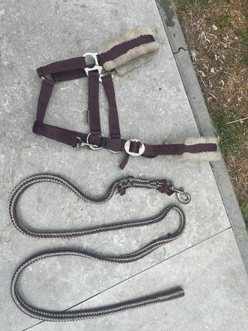 Ponyhalster+touw beschikbaar voor biedingen