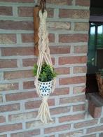 Bamboe plantenhanger, Overige soorten, Ophalen of Verzenden, In pot