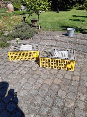 transportkooien, Dieren en Toebehoren, Ophalen of Verzenden