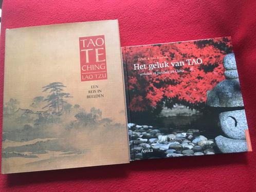 Lao Tzu - Tao te Ching een reis in beelden+Het geluk van TAO, Livres, Ésotérisme & Spiritualité, Comme neuf, Spiritualité en général